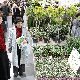 11.06_GARDENIA2009_290mz.jpgmini.jpg