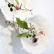 11.11_GARDENIA2009_276mz.jpgmini.jpg