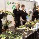11.11_GARDENIA2009_319mz.jpgmini.jpg