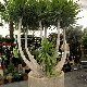 11.09_pp_0309.JPGmini.jpg