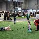 11.11_pp_2327.JPGmini.jpg