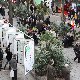11.30_pp_2504.JPGmini.jpg