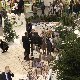 11.32_pp_0295.JPGmini.jpg