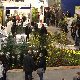 11.32_pp_0303.JPGmini.jpg