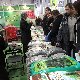 11.32_pp_0311.JPGmini.jpg