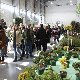 11.32_pp_0423.JPGmini.jpg