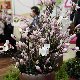 11.32_pp_0443.JPGmini.jpg