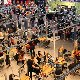 12.21_PP_2570.JPGmini.jpg