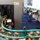 13.58_m_MG_0377.JPGmini.jpg