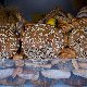 15.07_2_fot.Marcin_Melanowicz-8145.jpgmi