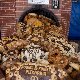 15.07_6_fot.Marcin_Melanowicz-8142.jpgmi