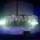 10.04_fot.Marcin_Melanowicz-4900.jpgmini.jpg