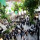16.59_NB306.jpgmini.jpg