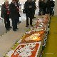 10.59_pp_6078.JPGmini.jpg