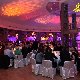 10.26_pp_0168.JPGmini.jpg