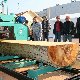 15.04_PP_0143.JPGmini.jpg