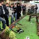 13.08_pp_7856.JPGmini.jpg