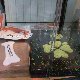 15.30_DSCF6151.jpgmini.jpg