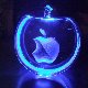 15.30_DSCF6166.jpgmini.jpg