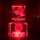 15.30_DSCF6167.jpgmini.jpg