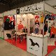 15.30_DSCF6216.jpgmini.jpg
