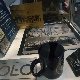15.30_DSCF6259.jpgmini.jpg