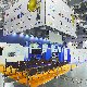 13.39_020_Polagra.JPGmini.jpg