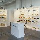 15.37_027polagra31.jpgmini.jpg