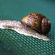 13.49_pp_0065.JPGmini.jpg
