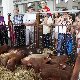13.49_pp_0172.JPGmini.jpg