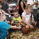 13.49_pp_0182.JPGmini.jpg