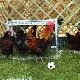 13.49_pp_1345.JPGmini.jpg