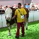 13.50_pp_0018.JPGmini.jpg