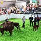 13.50_pp_0024.JPGmini.jpg