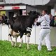 13.50_pp_0029.JPGmini.jpg