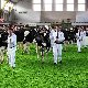 13.50_pp_0035.JPGmini.jpg