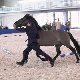 13.51_pp_0395.JPGmini.jpg