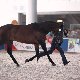 13.51_pp_0405.JPGmini.jpg