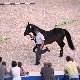 13.51_pp_0408.JPGmini.jpg