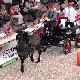 13.51_pp_0425.JPGmini.jpg