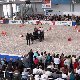 13.51_pp_0426.JPGmini.jpg