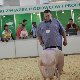 13.52_pp_0216.JPGmini.jpg