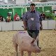 13.52_pp_0217.JPGmini.jpg