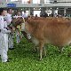13.53_pp_0078.JPGmini.jpg