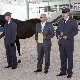 13.53_pp_0160.JPGmini.jpg