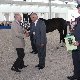 13.53_pp_0164.JPGmini.jpg