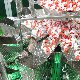 12.50_HW0Q1212.JPGmini.jpg