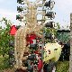 14.46_DSCN0316-www.JPGmini.jpg