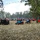 09.31_DSC00553.JPGmini.jpg