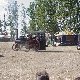 09.31_DSC02896.JPGmini.jpg